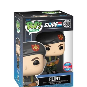 Flint Flint