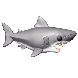 Great White Shark Great White Shark