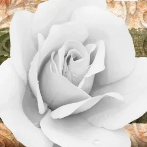 Tela Quadro Misure 70×150 Canvas –   Collezione Quadri floreali cod. FLP-33