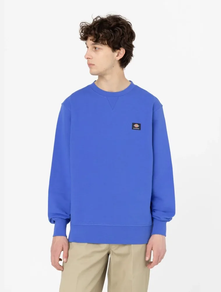 Dickies Felpa Uomo Mount Vista - immagine 3