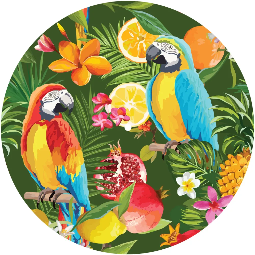 Slipmats 33 TB049 – Panno feltro giradischi Tropical – Parrots