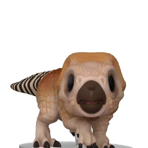 Aquilops Aquilops
