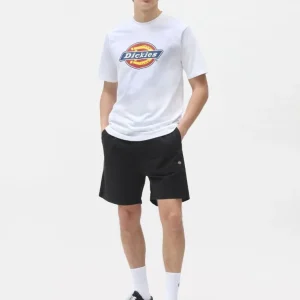 Dickies Pantaloncini Uomo Pelican Rapid