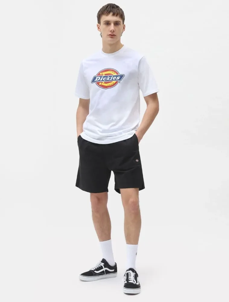 Dickies Pantaloncini Uomo Pelican Rapid