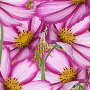 Tela Quadro Misure 70×150 Canvas – Collezione Quadri floreali cod. FLP-39 Tela Quadro Misure 70×150 Canvas – Collezione Quadri floreali cod. FLP-39