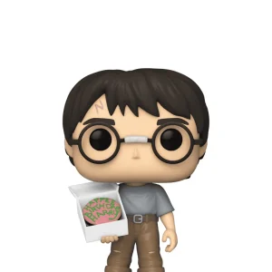 Harry Potter with Birthday Cake Harry Potter with Birthday Cake