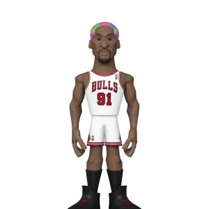 Dennis Rodman Chase