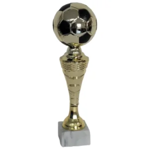 Trofeo Calcio Oro Trofeo Calcio Oro