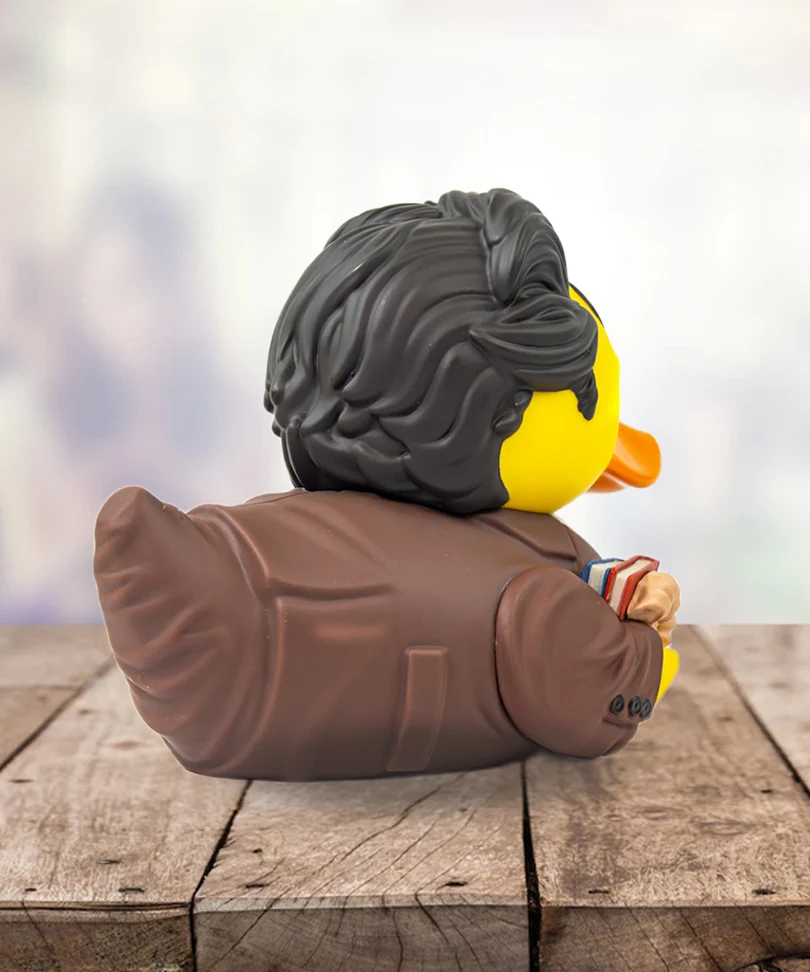 Friends Ross Geller TUBBZ Cosplaying Duck Collectible - immagine 3