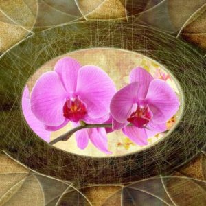 Tela Quadro Misure 70×150 Canvas –   Collezione Quadri floreali cod. FLP-12