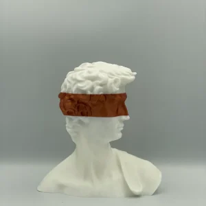 DAVID DAVID