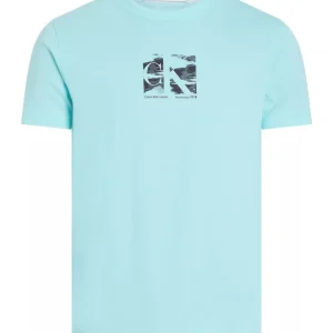 Calvin Klein T Shirt Uomo Small Box Logo Calvin Klein T Shirt Uomo Small Box Logo