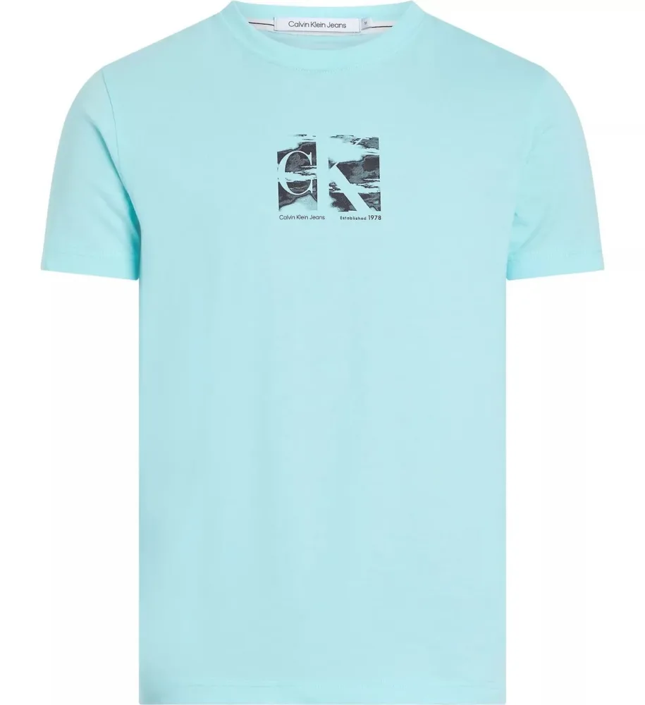 Calvin Klein T Shirt Uomo Small Box Logo