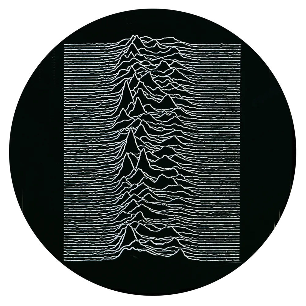 Slipmats 33 TB-1019 – Panno feltro giradischi – Joy Division