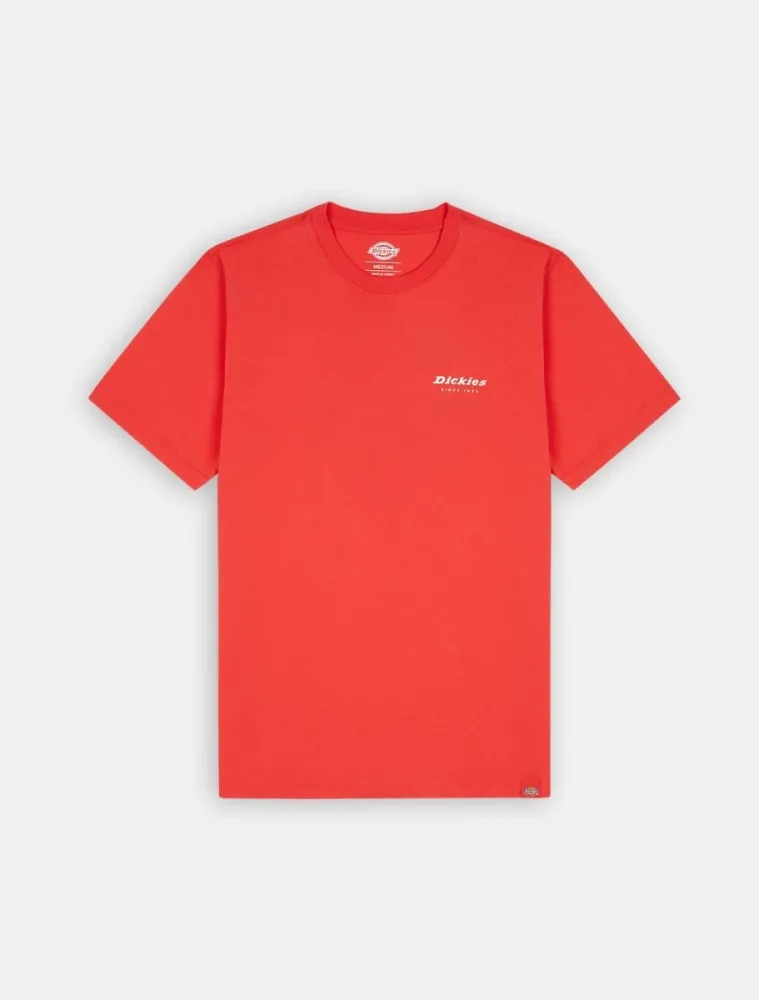 Dickies T Shirt Uomo Leesburg