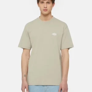 Dickies T Shirt Uomo Summerdale