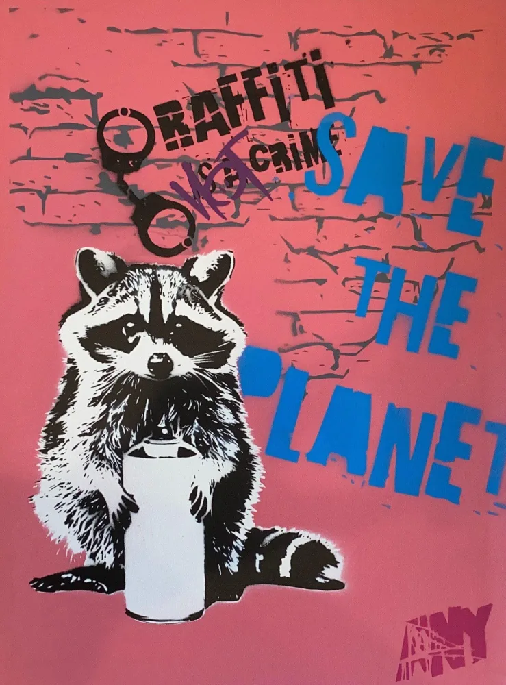 THE RULES OF RACOON