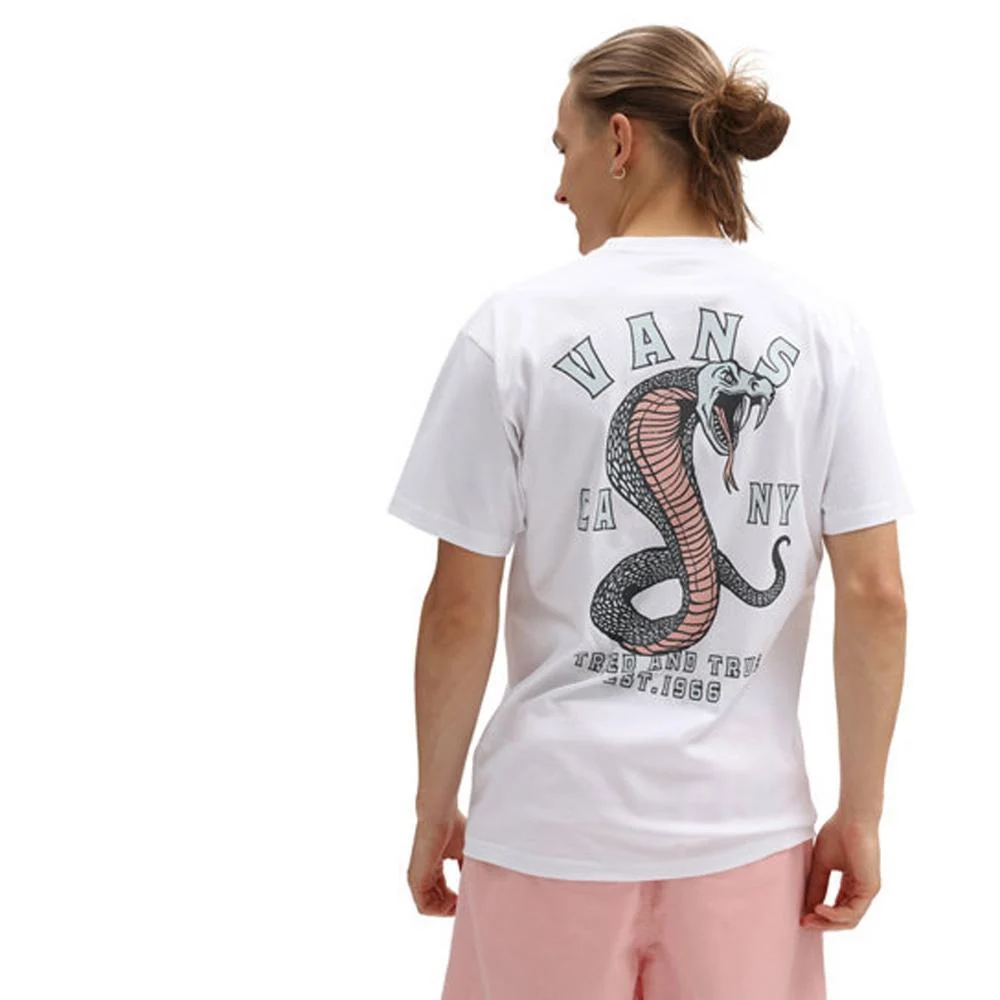 Vans T-Shirt Uomo Striked Ss