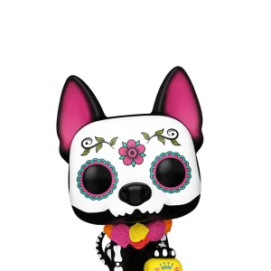 Xolo Xolo