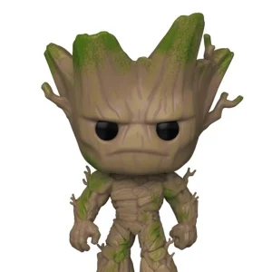 Alpha Groot Alpha Groot