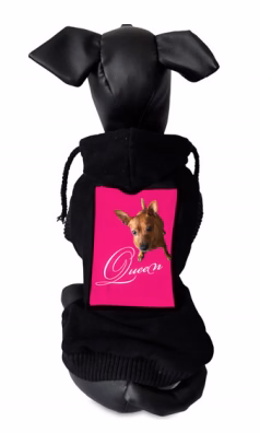 Felpa cane nera