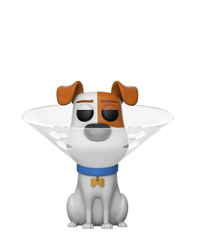 Max with Cone