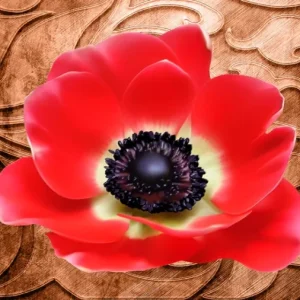Tela Quadro Misure 70×150 Canvas –   Collezione Quadri floreali cod. FLP-52