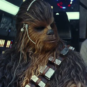 Chewbacca (Facet) Chewbacca (Facet)
