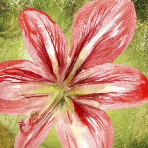 Tela Quadro Misure 70×150 Canvas –   Collezione Quadri floreali cod. FLP-13
