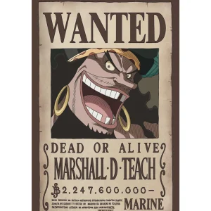 One Piece – Poster “WANTED BLACKBEARD” (52X38) One Piece – Poster “WANTED BLACKBEARD” (52X38)