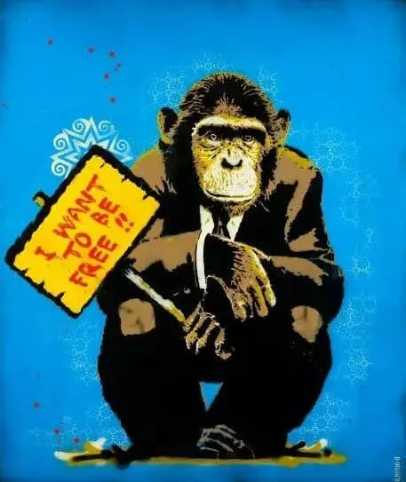 MONKEY LOVE