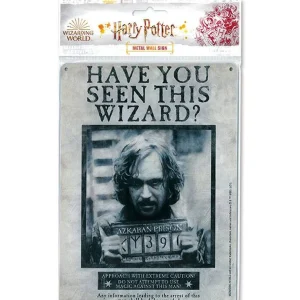 Harry Potter – Tin Sign Have You Seen This Wizard 15 x 21 cm Harry Potter – Tin Sign Have You Seen This Wizard 15 x 21 cm