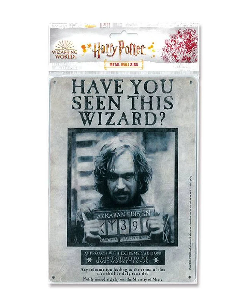 Harry Potter - Tin Sign Have You Seen This Wizard 15 x 21 cm