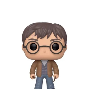 Harry Potter with Two Wands Harry Potter with Two Wands