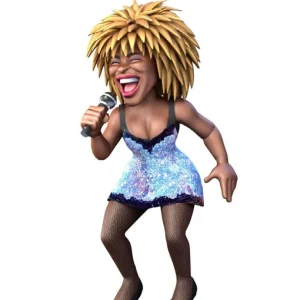 Tina Turner Tina Turner