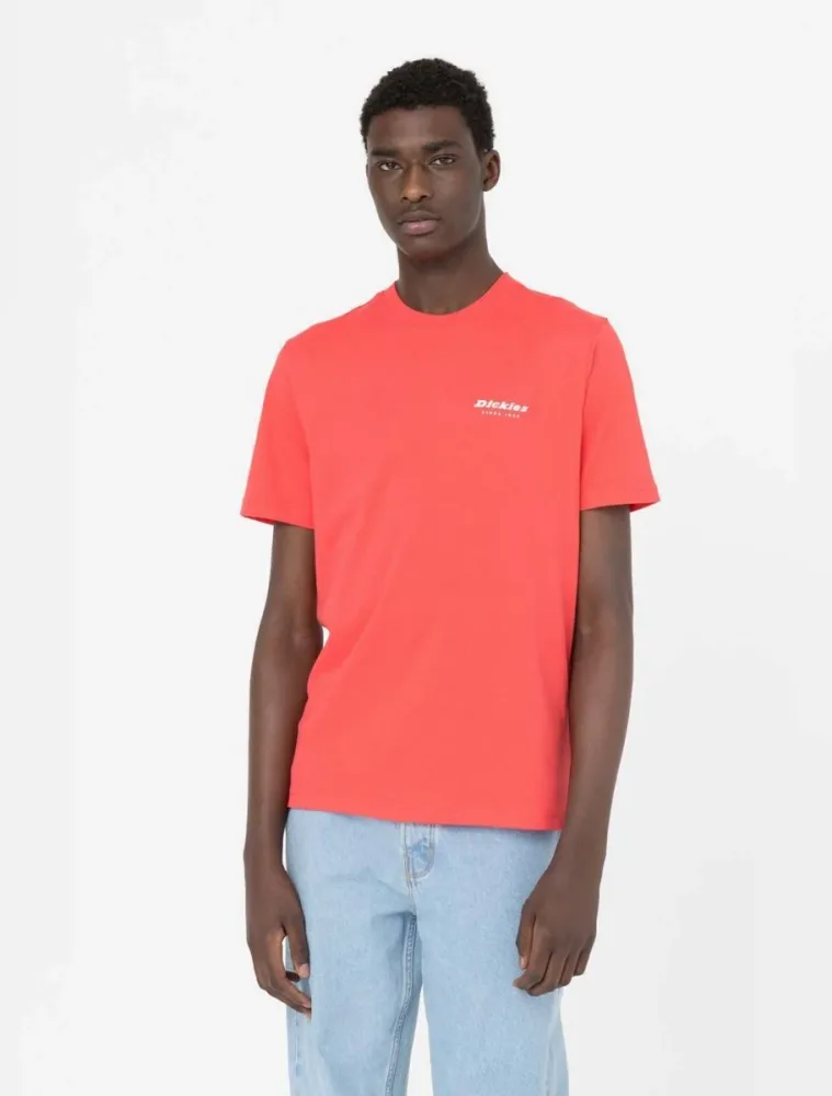 Dickies T Shirt Uomo Leesburg - immagine 3