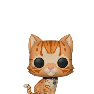 Goose the Cat Goose the Cat