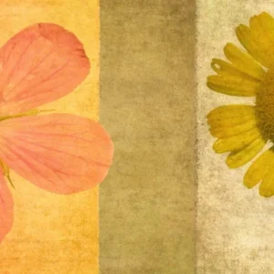 Tela Quadro Misure 70×150 Canvas – Collezione Quadri floreali cod. FLP-19 Tela Quadro Misure 70×150 Canvas – Collezione Quadri floreali cod. FLP-19