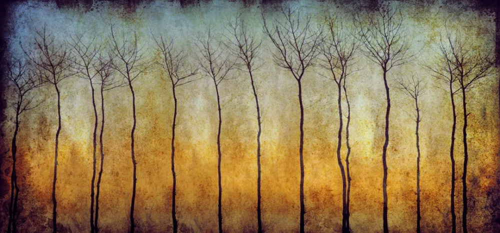 Tela Quadro Misure 70×150 Canvas – Foresta – Collezione Quadri Fotografici cod. FOP-62