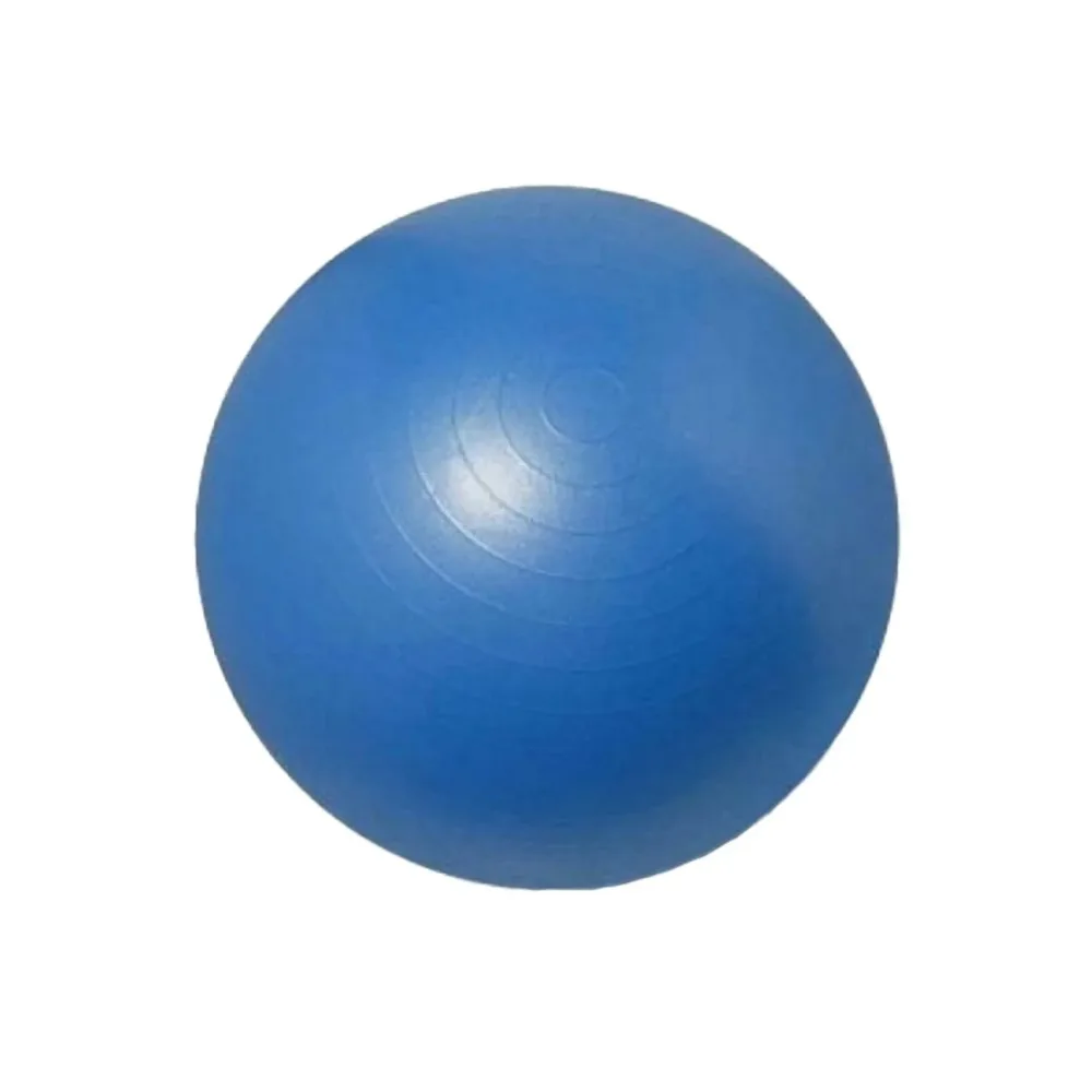 Fisioball D.65 Cm