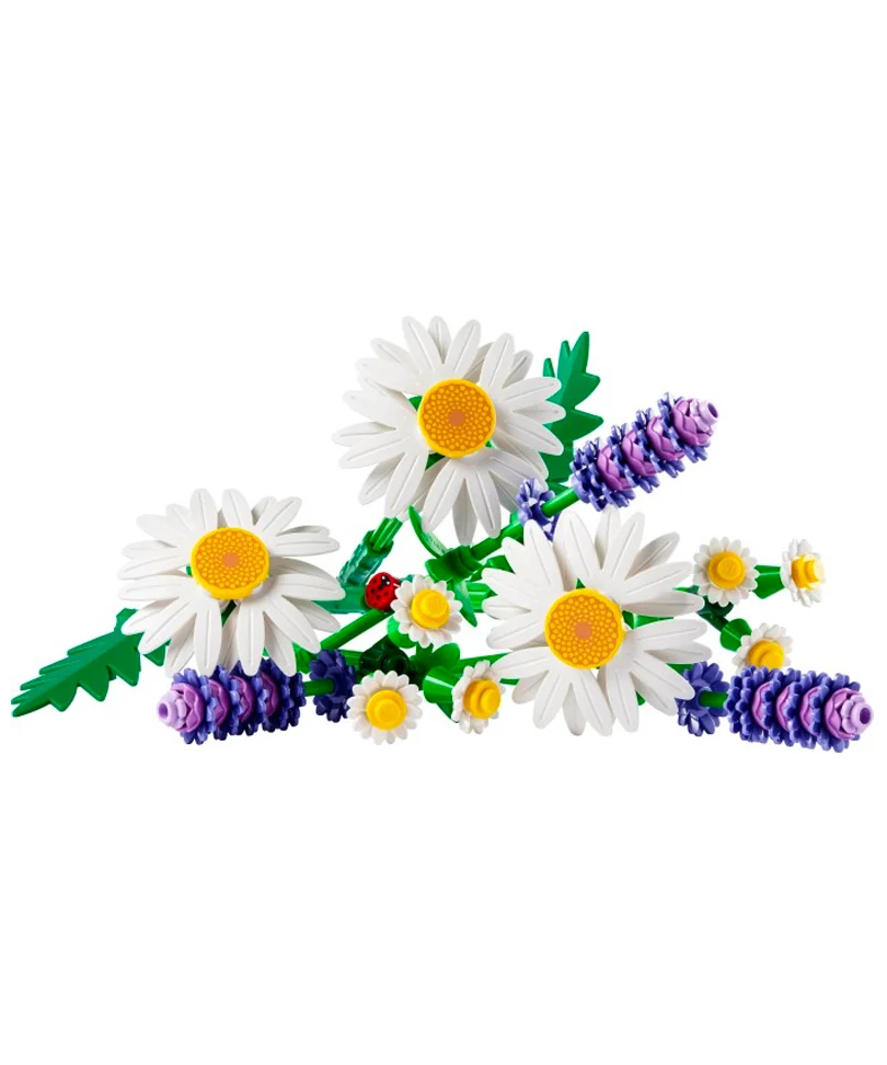 Daisies - Margherite - immagine 2