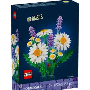 Daisies – Margherite Daisies – Margherite