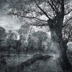 Tela Quadro Misure 70×150 Canvas – Paesaggio bianco/nero – Collezione Quadri Fotografici cod. FOP-55