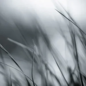 Tela Quadro Misure 70×150 Canvas – Paesaggio bianco/nero – Collezione Quadri Fotografici cod. FOP-52