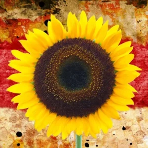 Tela Quadro Misure 70×150 Canvas – Collezione Quadri floreali cod. FLP-21 Tela Quadro Misure 70×150 Canvas – Collezione Quadri floreali cod. FLP-21