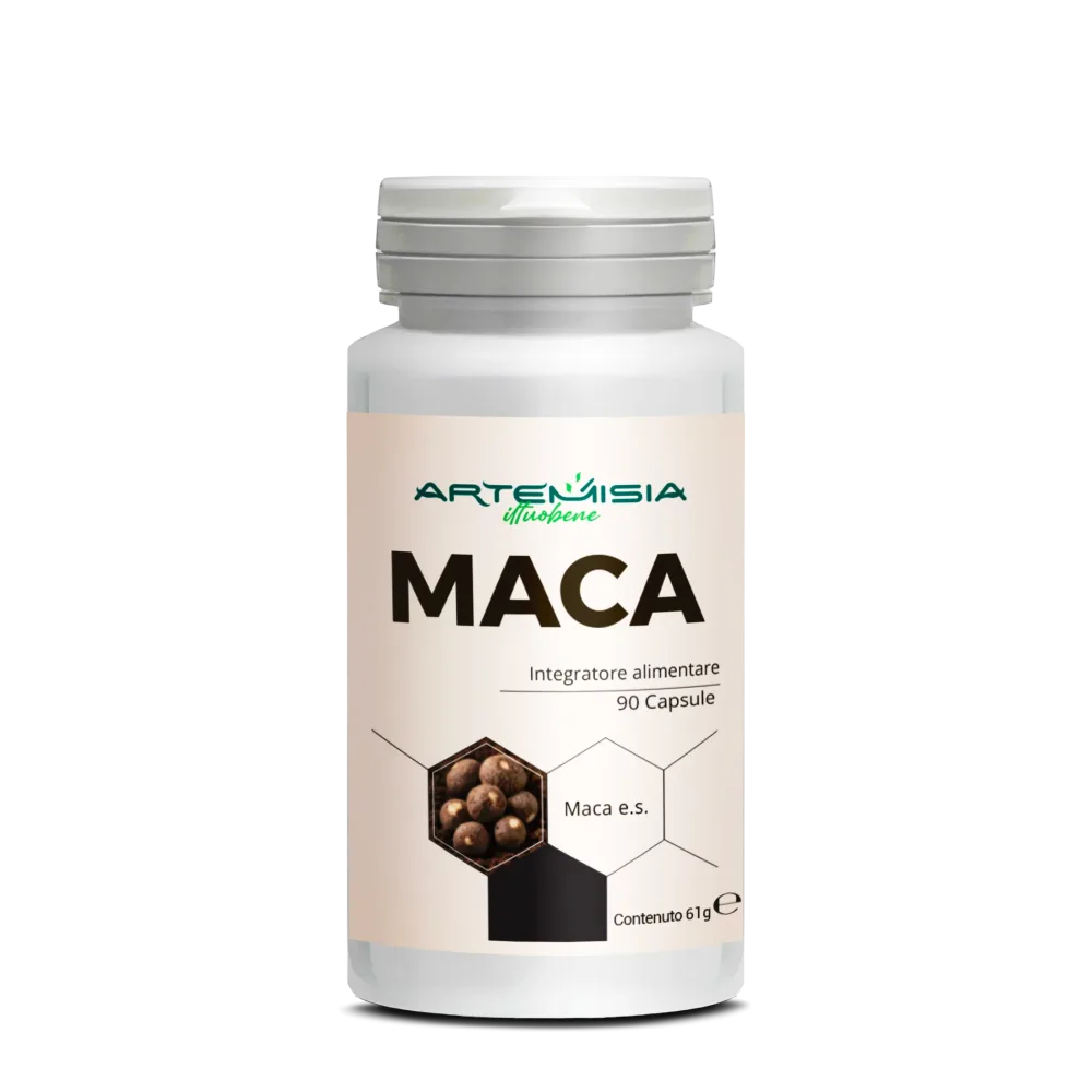 MACA