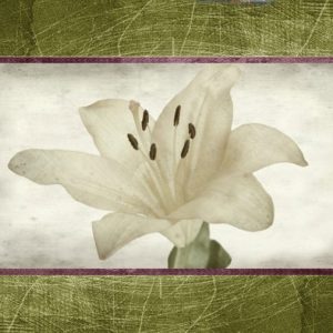 Tela Quadro Misure 70×150 Canvas – Collezione Quadri floreali cod. FLP-04 Tela Quadro Misure 70×150 Canvas – Collezione Quadri floreali cod. FLP-04