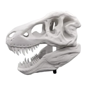 T-Rex T-Rex