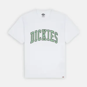 Dickies T Shirt Uomo Aitkin Tee