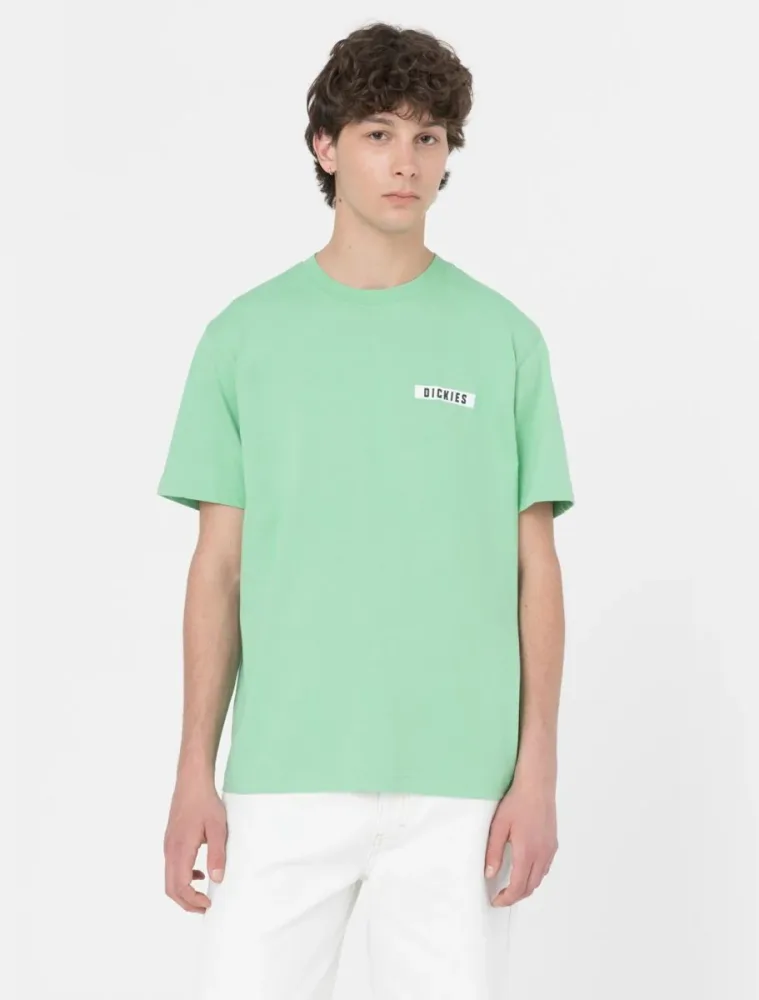 Dickies T Shirt Uomo Baker City - immagine 3